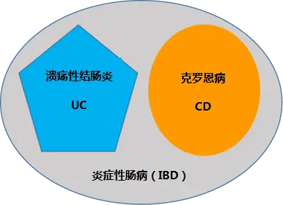 克罗恩护理常规ppt_克罗恩的护理查房_克罗恩病护理要点