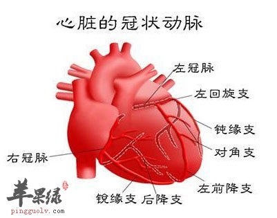 冠心病得预防治疗方法_预防冠心病发作及其自救方法_预防冠心病的早期症状