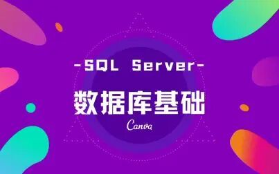 sqlserver镜像-SQLServer 镜像：数据安全的救星，还能提高访问速度