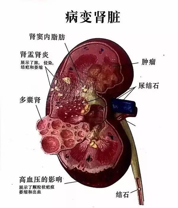 马虎聚搜_马虎聚搜_马虎聚搜