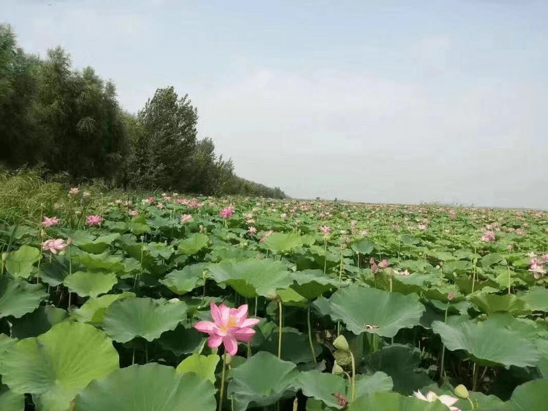 申请开办个体诊所条件_开办个体诊所的条件_开办个体诊所条件怎么样