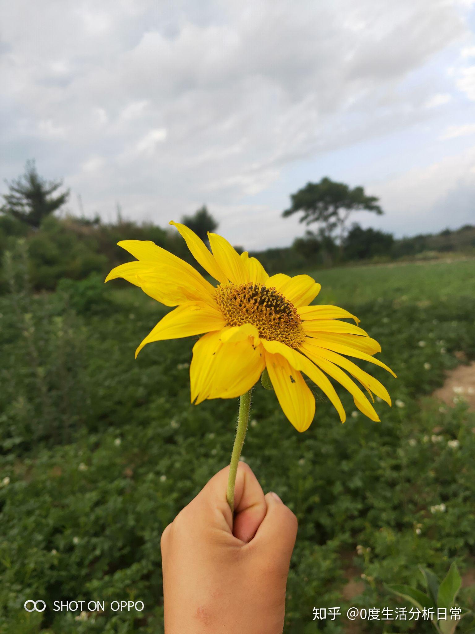 马虎聚搜_马虎聚搜_马虎聚搜