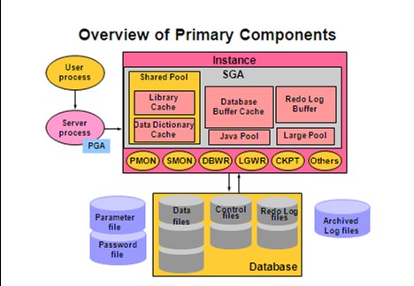 cachecache官网_oracle cache_cachecache官网