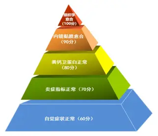 克罗恩病的鉴别诊断-揭秘克罗恩病：医生如何像侦探一样找出病因？