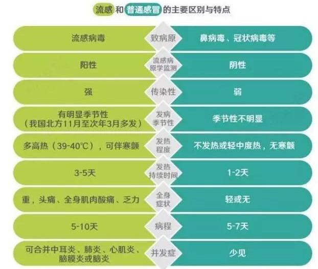 呼吸系统合胞病毒_呼吸道合胞病毒rna_呼吸道合胞病毒英文