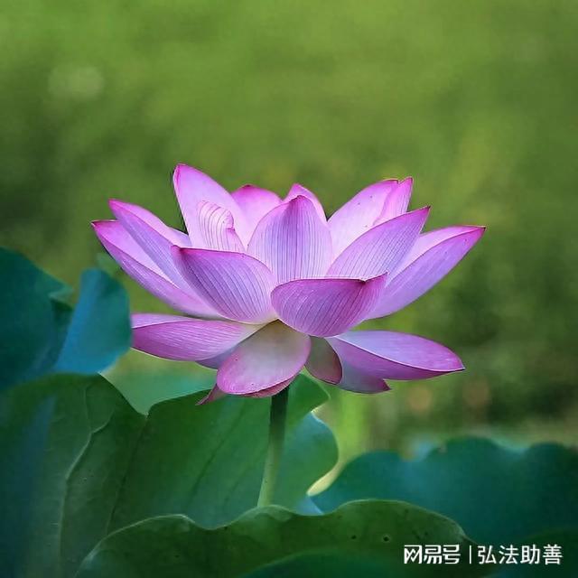 教资报名入口官网登录_高考报名入口官网登录_12306官网登录入口