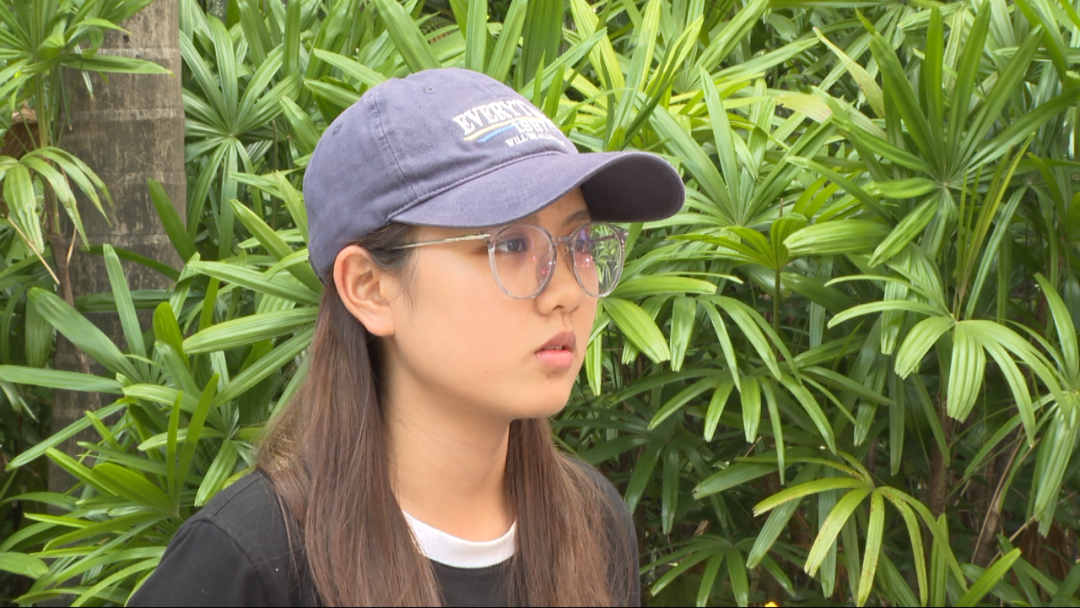 证姓名查身份号用什么查询_用姓名查身份证号_证姓名查身份号用什么查