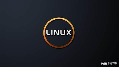 系统linux好用吗_系统linux怎么安装_unix系统和linux