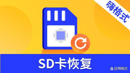 sd卡格式化后如何恢复数据_sd卡格式化后数据还在_格式化的sd卡数据恢复