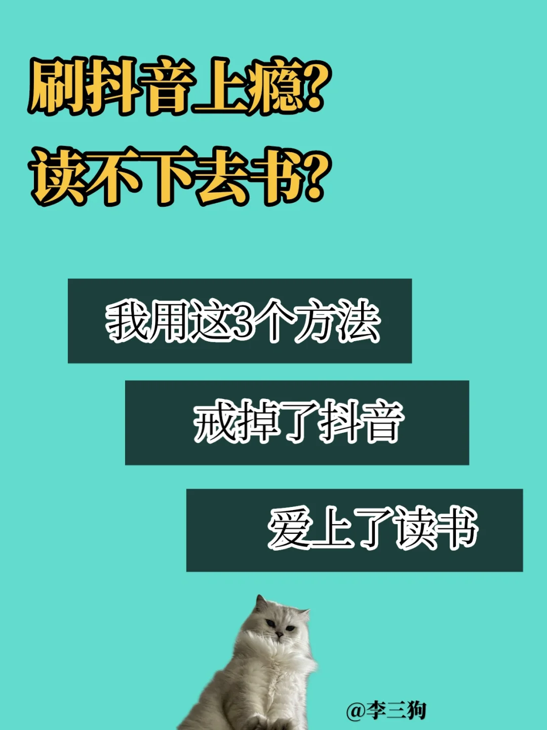 内存相机读卡出来是空白的_内存相机读卡出来不显示_为什么相机内存卡读不出来