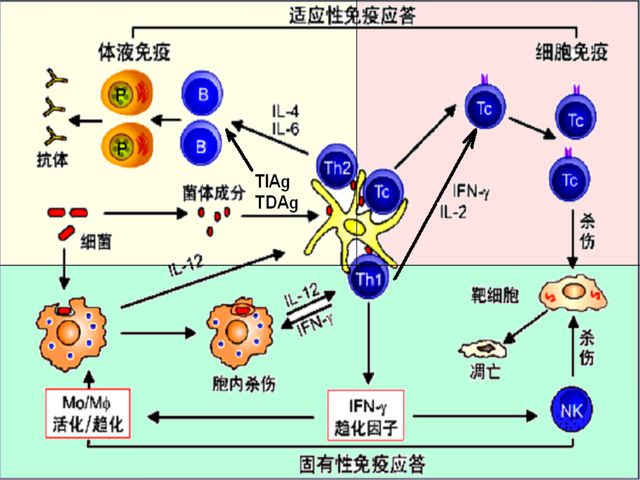 l克罗恩_克罗恩最终会怎样_克罗恩怎么引起的