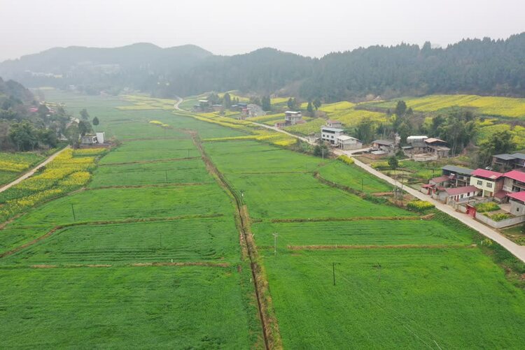 资阳市公路路政管理支队_资阳路政管理局_资阳市乐至县路政招聘