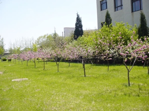 华北工程学校_华北工程学校官网_华北工程学校函授站