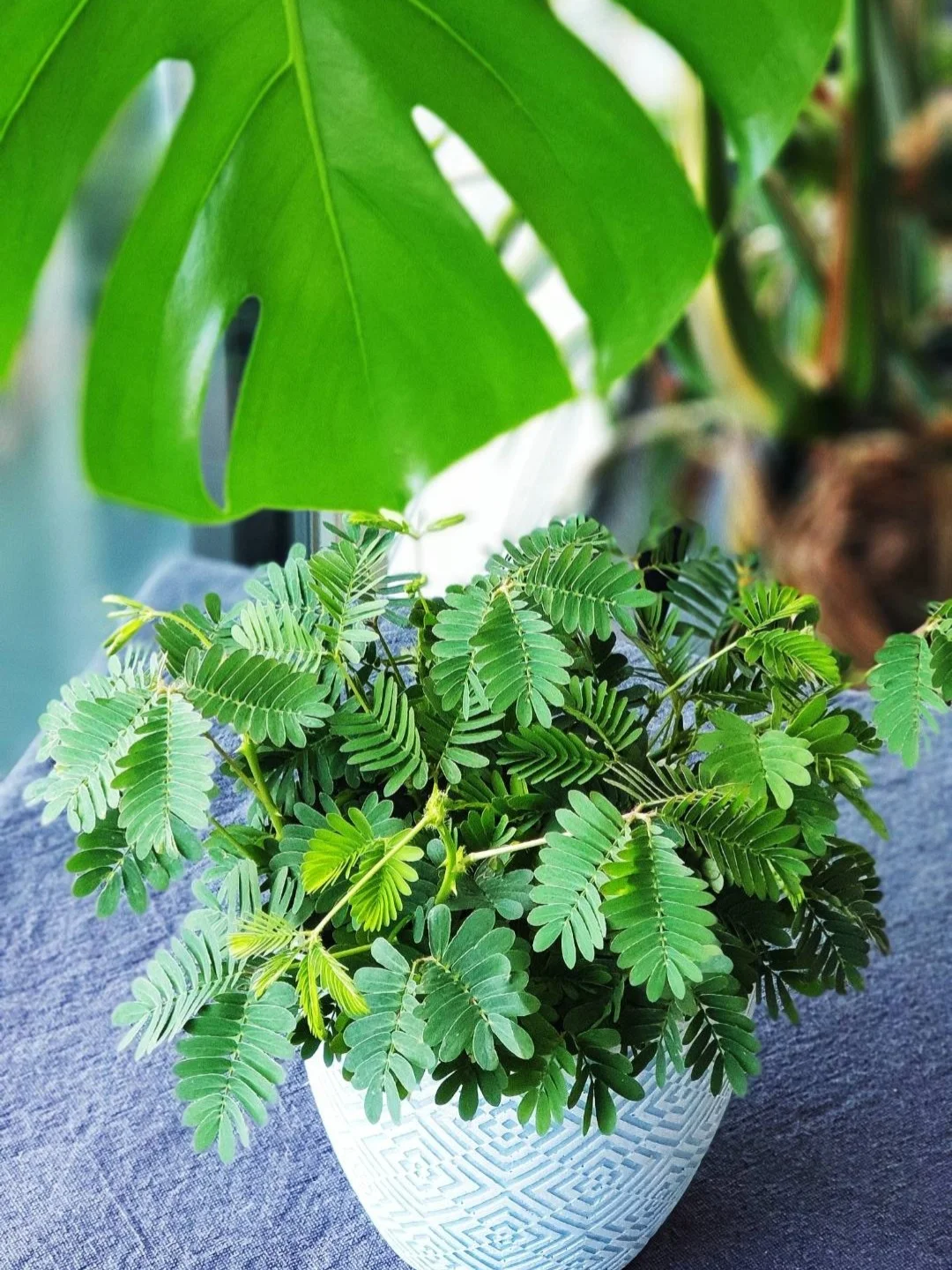 云藏输入法下载_输入法下载藏字_手机藏文输入法键盘下载