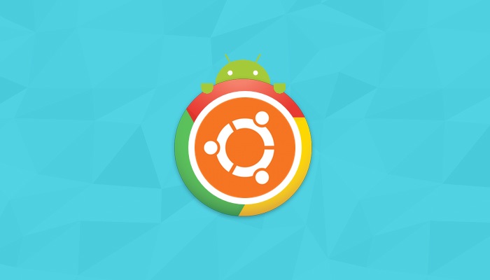 chrome os linux_chrome os linux_chrome os linux