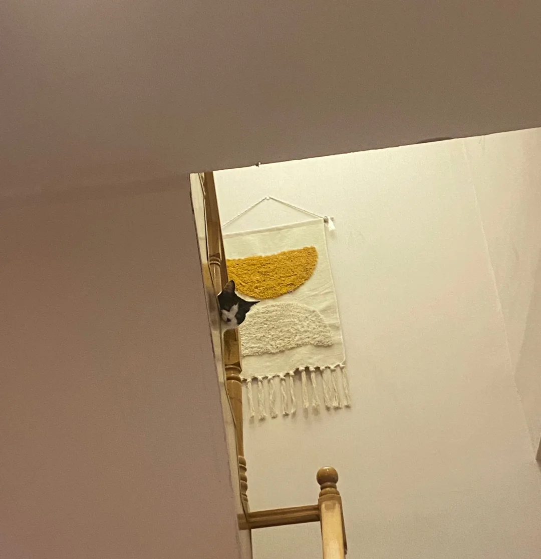 克罗恩病诊断_罗克恩病怎么确诊_罗克恩病早期症状