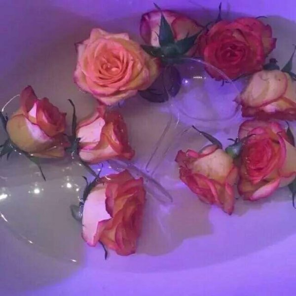 表白感人肺腑的话_感人肺腑的表白_表白感人的话语