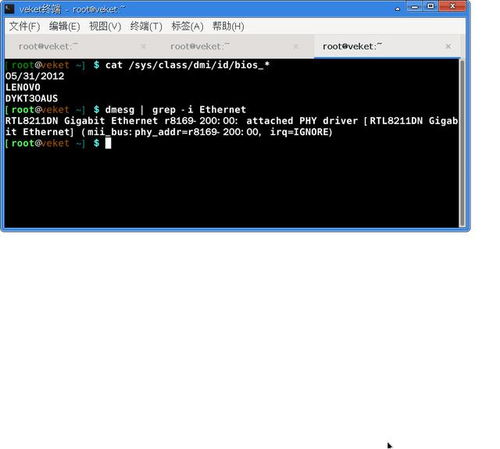 linux 查看网卡硬件,Liux系统下查看网卡硬件信息的详细指南