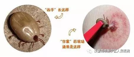 c 鑾峰彇绯荤粺澹伴煶,C语言编程中的“鑾峰彇绯荤粺澹伴煶”艺术