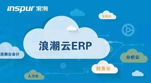 erp绯荤粺po妯″潡,ERP系统中PO（采购订单）的概述与重要性