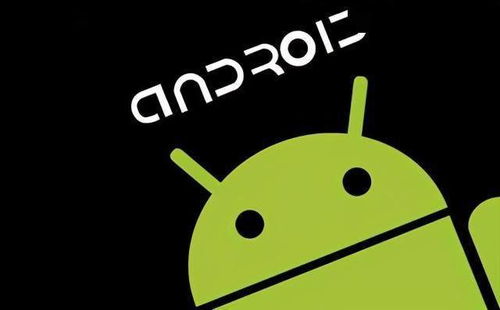 android 绯荤粺鐩稿唽 鑾峰彇鍥剧墖,如何实现高效的数据展示