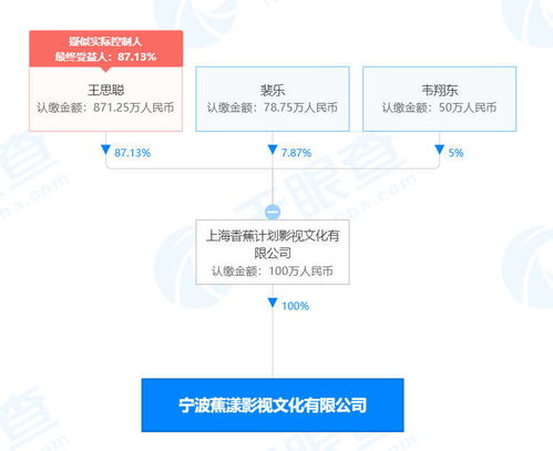 Chinanet绯荤粺绻佸繖,揭秘中国互联网的辉煌历程