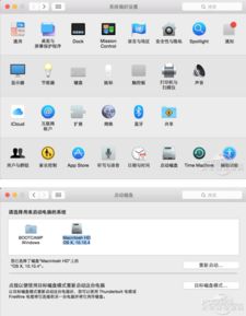 mac怎么双系统win10,姜鎬童洗脸