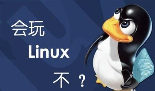 psv系统Linux,PSV系统Linux的探索与应用