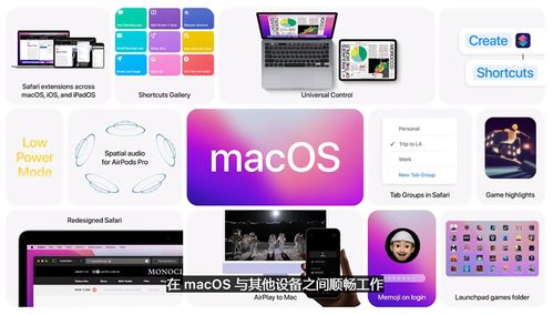 mac系统功能,高效使用与个性化定制