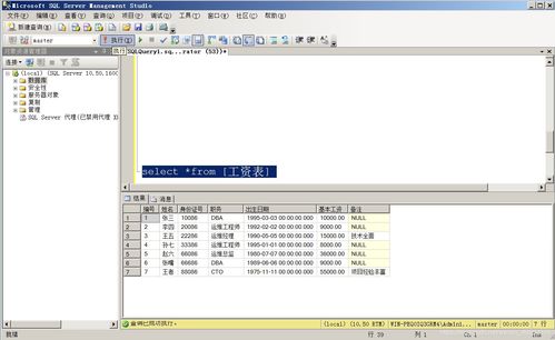 sql 系统函数,SQL系统函数概述