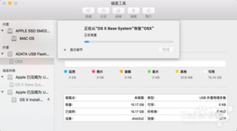 mac系统u盘启动盘,Mac系统U盘启动盘制作指南