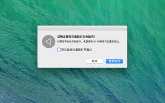 mac系统变卡,Mac系统变卡怎么办？全面解析解决Mac卡顿问题