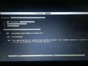 pe无法进入系统,原因分析与解决方法