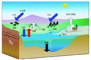 N系统生物,探索生命科学的新领域