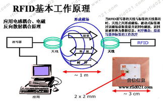 rfid系统通常由,RFID系统概述