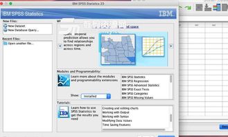 spss 苹果系统,数据分析的强大工具