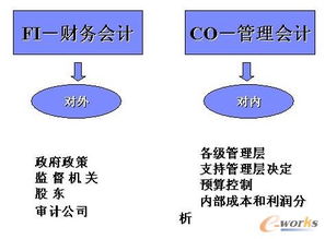 sap系统上线,SAP系统上线的全流程解析与注意事项