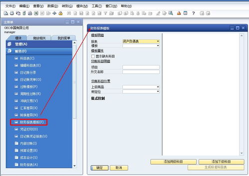 ss财务系统,企业财务管理的新时代利器