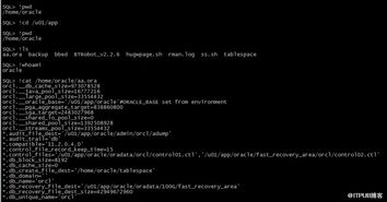 oracle 执行系统命令,Oracle数据库中执行系统命令的技巧与注意事项