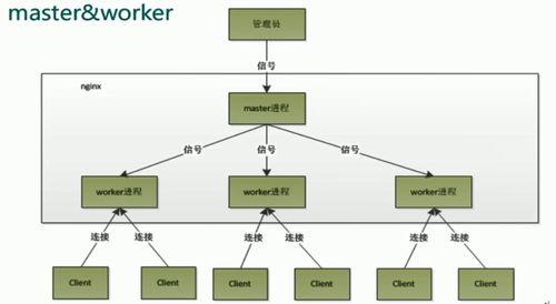 nginx管理系统,高效运维之道