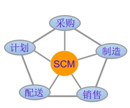 SCM系统流小说,穿越时空的供应链管理——SCM系统流小说的奇幻之旅