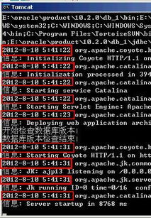 tomcat 系统时间,Tomcat系统时间设置与调整指南