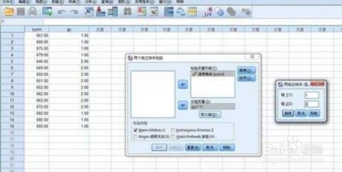 spss 系统,SPSS系统概述