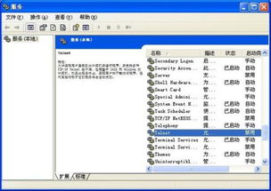 telnet xp系统,深入解析Windows XP系统中的Telnet服务