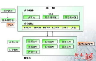 oracle支持的操作系统,Oracle数据库概述