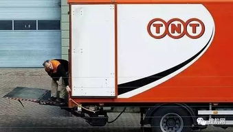 tnt 系统瘫痪,原因分析及应对措施