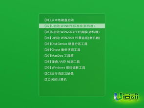 pe修复系统文件缺失,轻松解决Windows系统问题