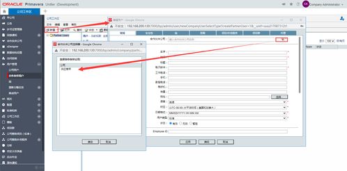 oracle 项目管理系统,Oracle项目管理系统的设计与实现