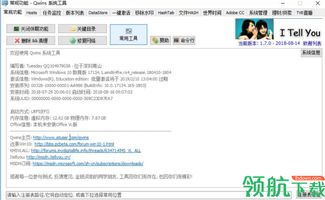 qwins 系统工具,qwins官网