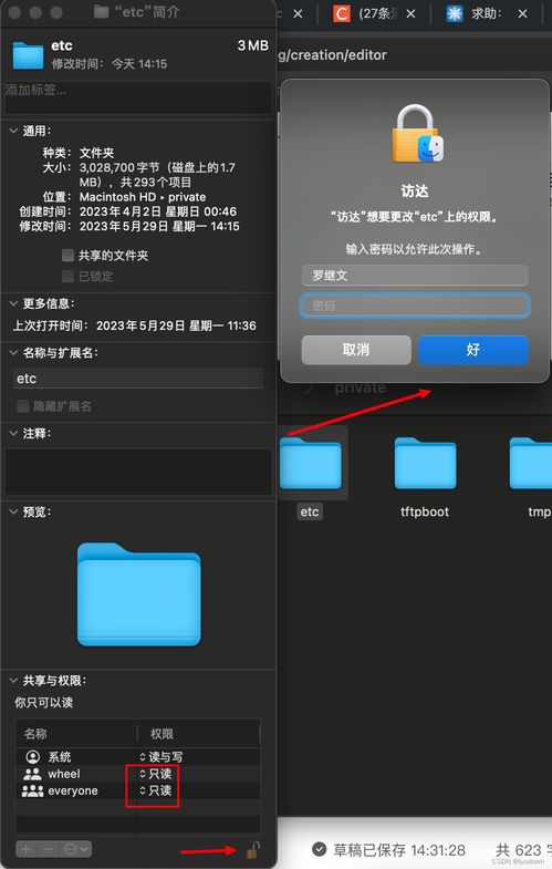 mac系统 文件被锁,Mac系统文件被锁怎么办？解决方法大揭秘